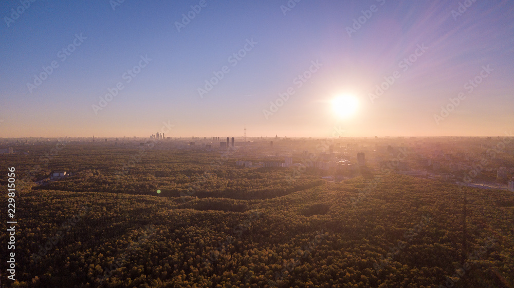 Scenic view of the sunset. Forest landscape against the background of the city