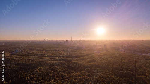 Scenic view of the sunset. Forest landscape against the background of the city