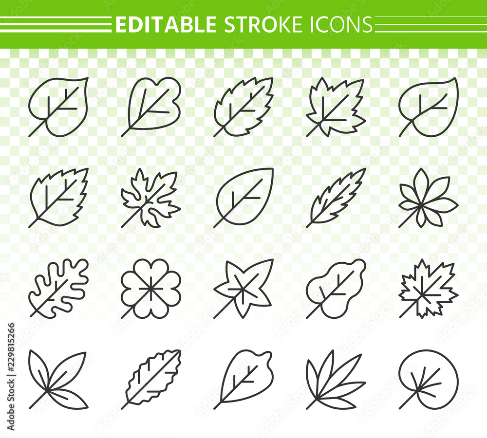 Organic Leaf simple black line icons vector set