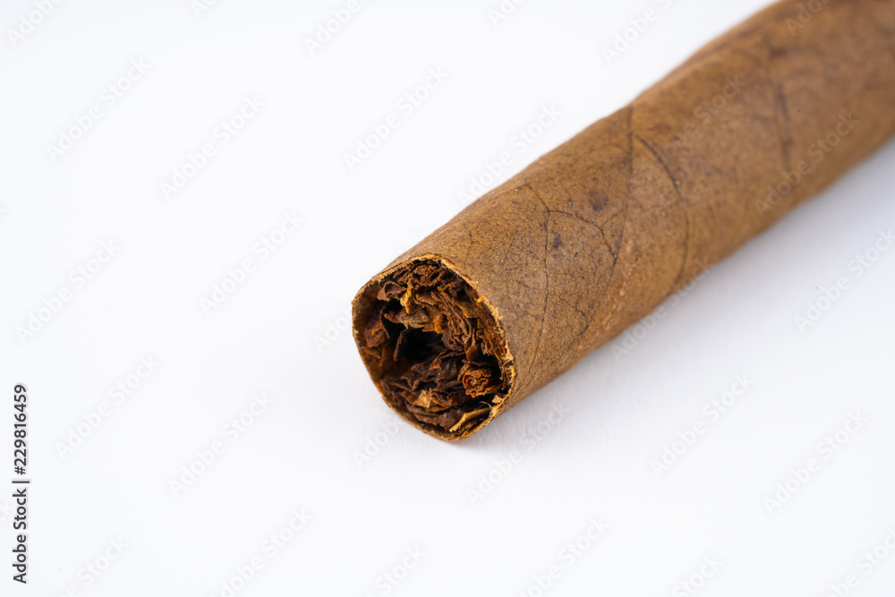 cigar on white background
