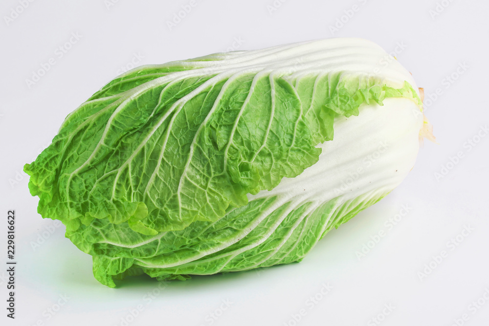 fresh chinese cabbage or napa cabbage isolated on a white background, studio shot