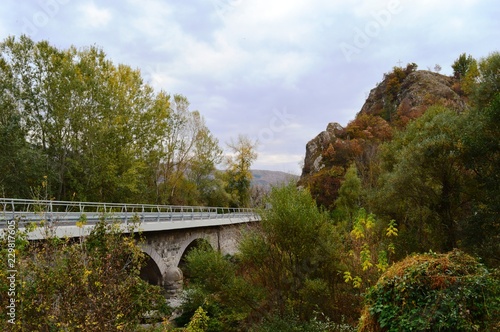 bridge over the river in autumn