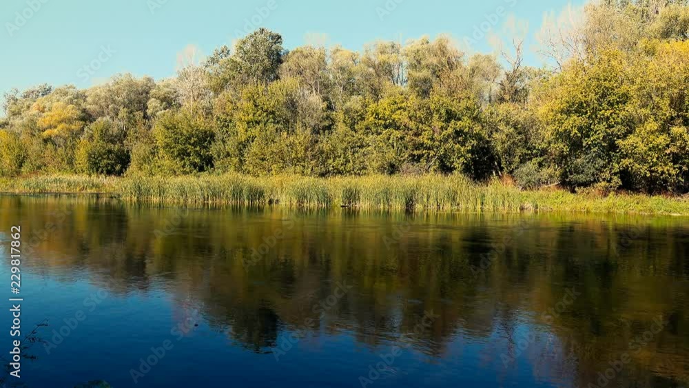 landscape river and deciduous forest. landscape river and deciduous forest.