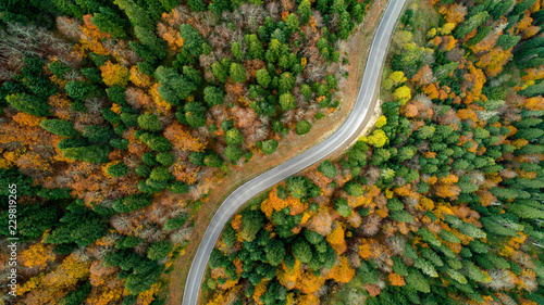Scenic aerial view looking at a winging road in the middle of the colorful forest during fall season. © yusufozluk