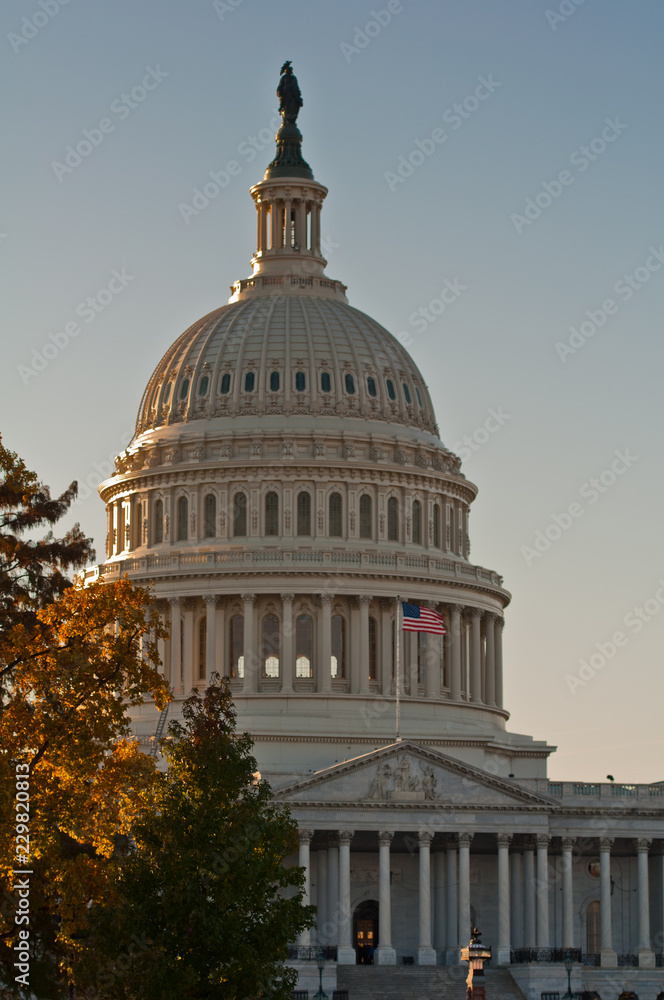 Obraz premium U.S. Capitol Building