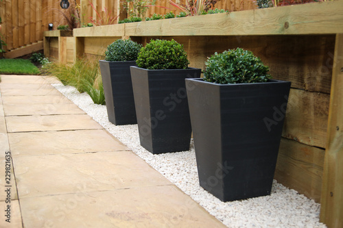 Fototapeta Naklejka Na Ścianę i Meble -  Garden pots