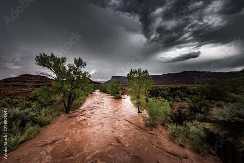 Flash Flood Waters flows through the Canyonlands Needle District Utah USA