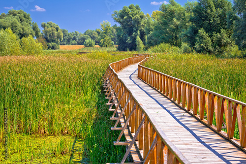 Kopacki Rit marshes nature park wooden boardwalk view