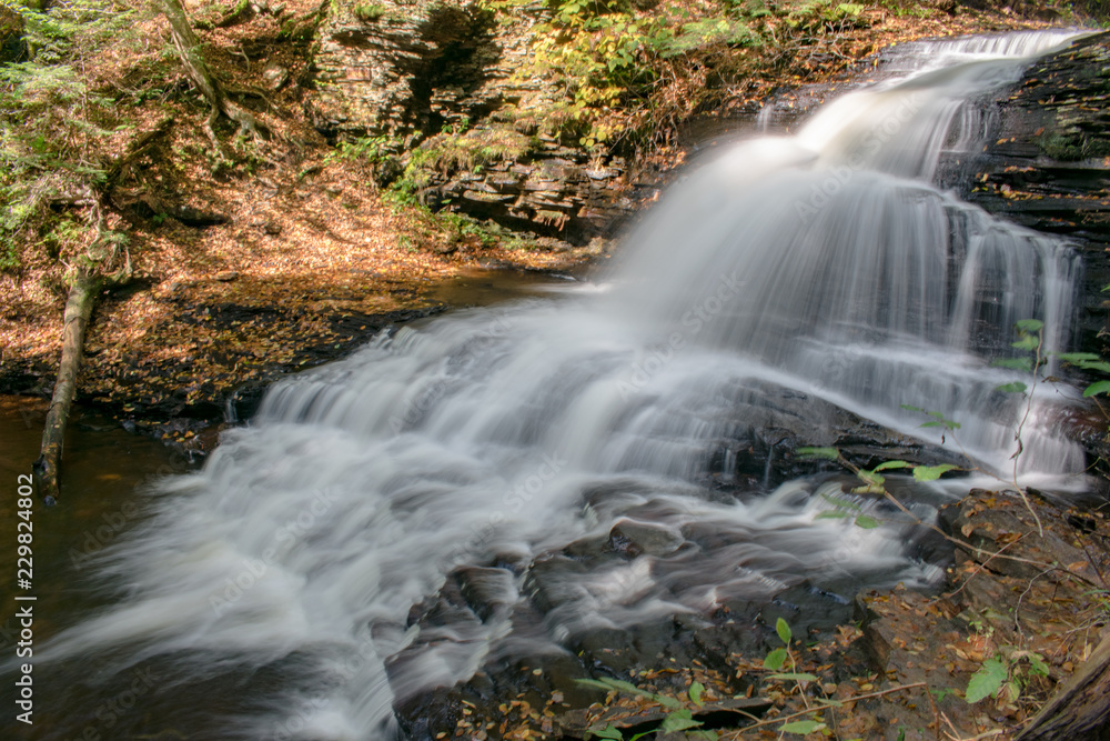 Naklejka premium waterfall in the forest