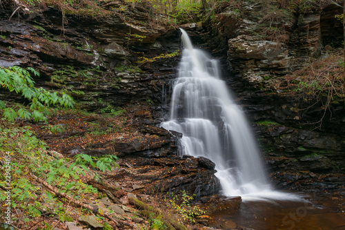 Waterfalls for Life