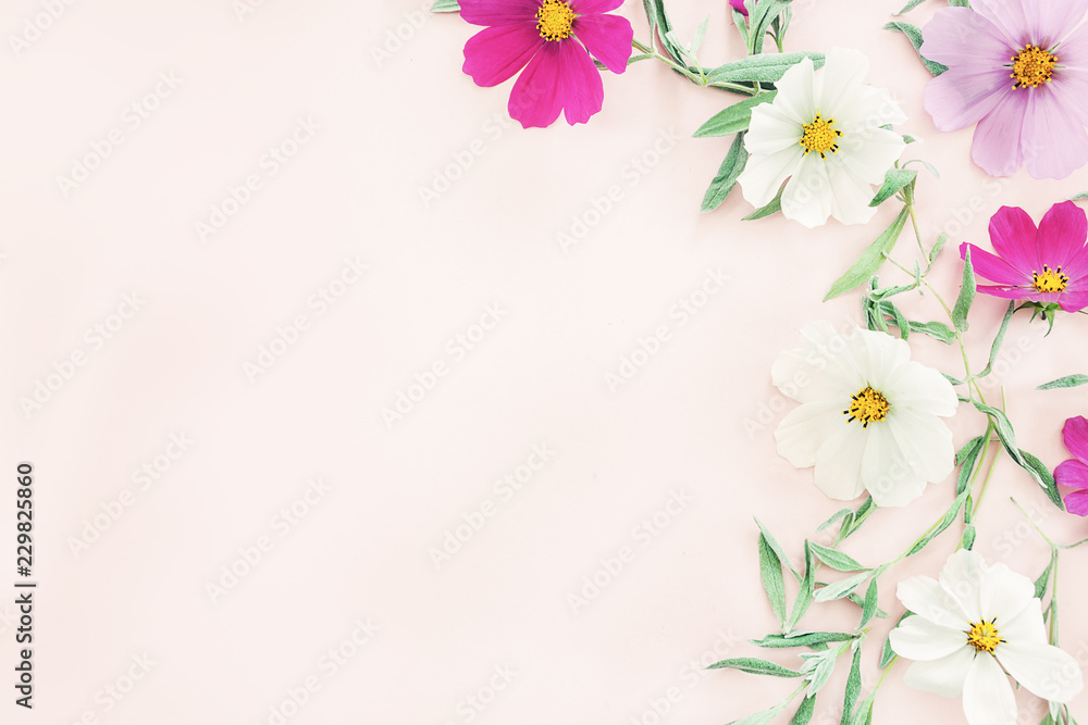 Flowers composition. colorful flowers on pink background