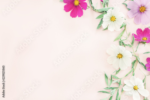 Fototapeta Naklejka Na Ścianę i Meble -  Flowers composition. colorful flowers on pink background