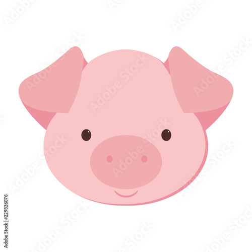 Pig art illustration