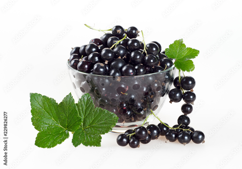 Black currant berries in a glass cup on a white background. Black currant berries in a glass cup on a white background.