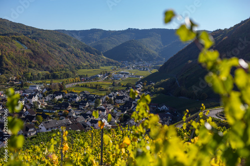 Weinort Rech am Rotweinwanderweg im Ahrtal