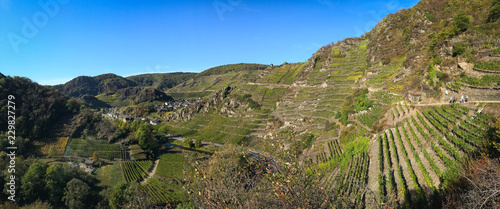 Panorama der Weinberge im Ahrtal auf dem Rotweinwanderweg bei Mayschoss photo