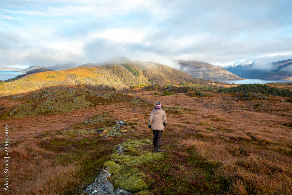 Fototapeta premium Wanderlust to Hjortheia mountain in Bronnoy municipality, autumn in Northern Norway 