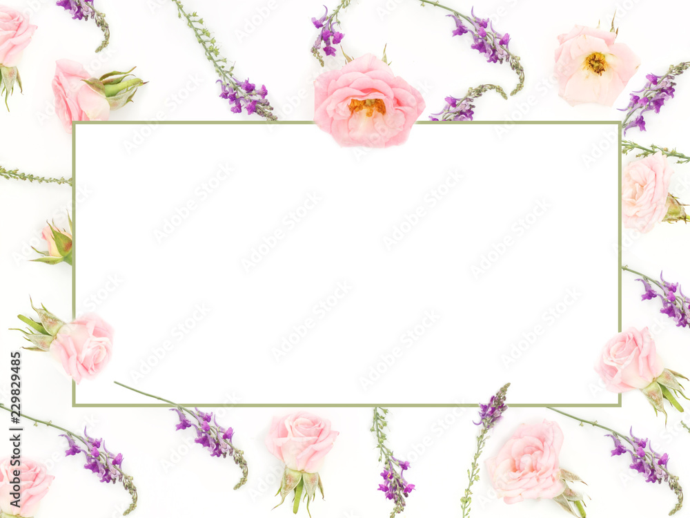 Beautiful pink roses heads on pink background Beautiful pink roses heads on pink background