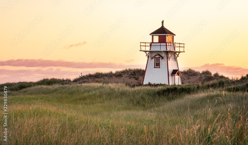Cove Head Lighthouse in yellow Cove Head Lighthouse in yellow