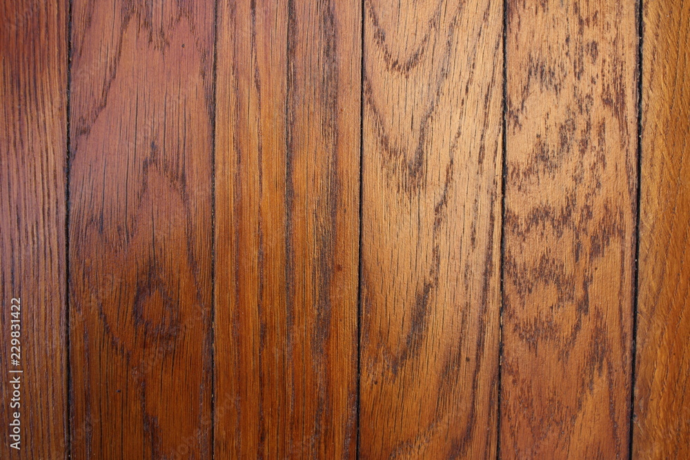 Obraz premium Wood texture with natural pattern background