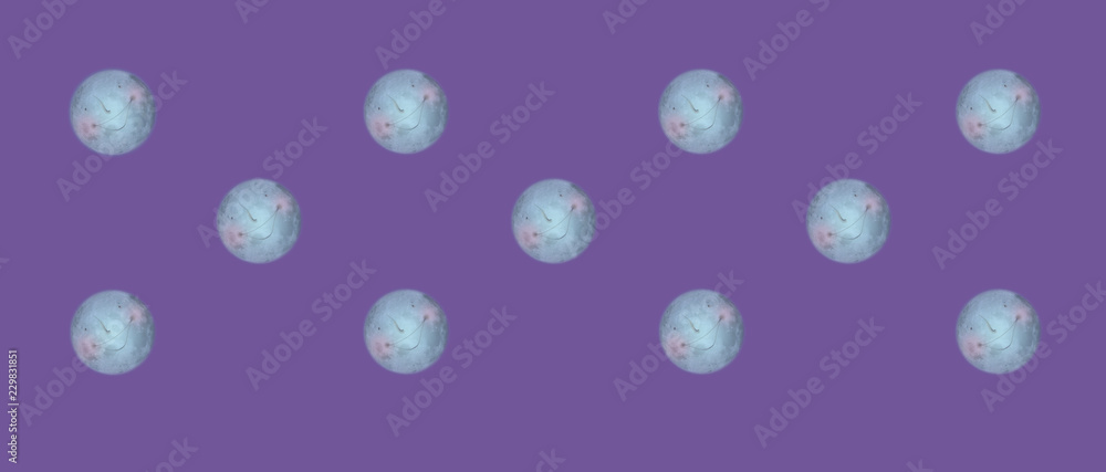 violet background with moon patterns