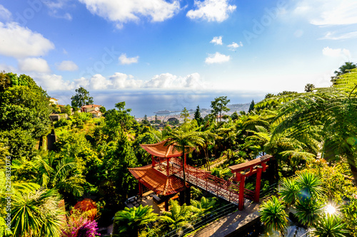 The Botanical Garden - Maderia