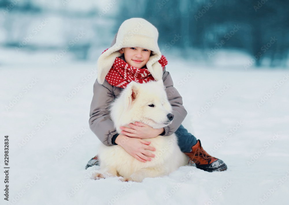 Child hugging white Samoyed dog in winter day Child hugging white Samoyed dog in winter day