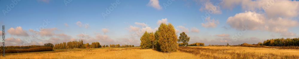 Blighted grass, trees in the colors of autumn. A vast panorama of autumn fields.