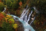 北海道　美瑛　白髭の滝