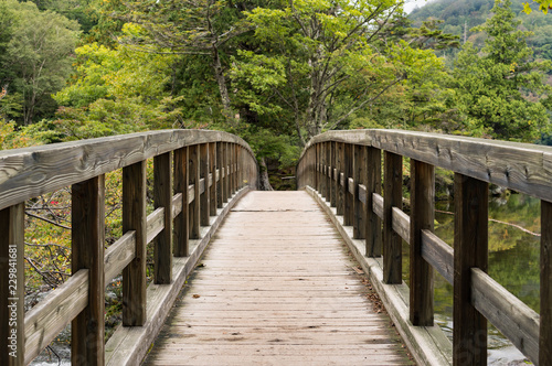 湯ノ湖 木製の橋 栃木県 日光市