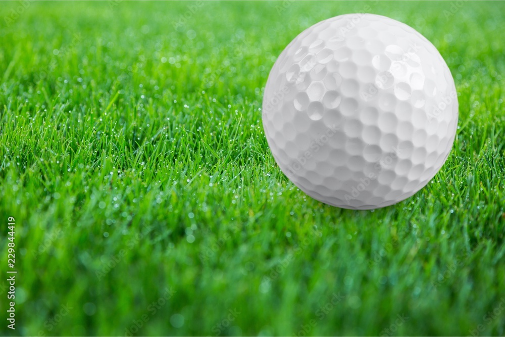 Obraz premium Golf Ball isolated on white background. Sport and Recreation