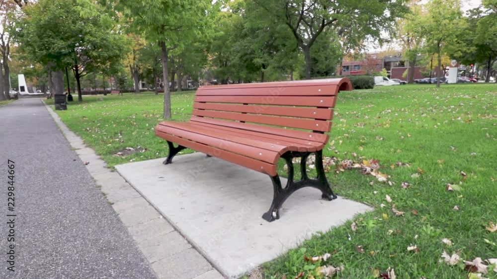 public park with trees and a lot of dead leaves and some green plants with movement in the footage public park with trees and a lot of dead leaves and some green plants with movement in the footage