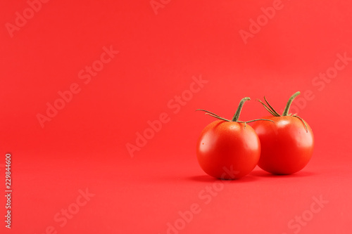 tomato on red background. italian healthy vegan food concept with tomatoes. © beats_