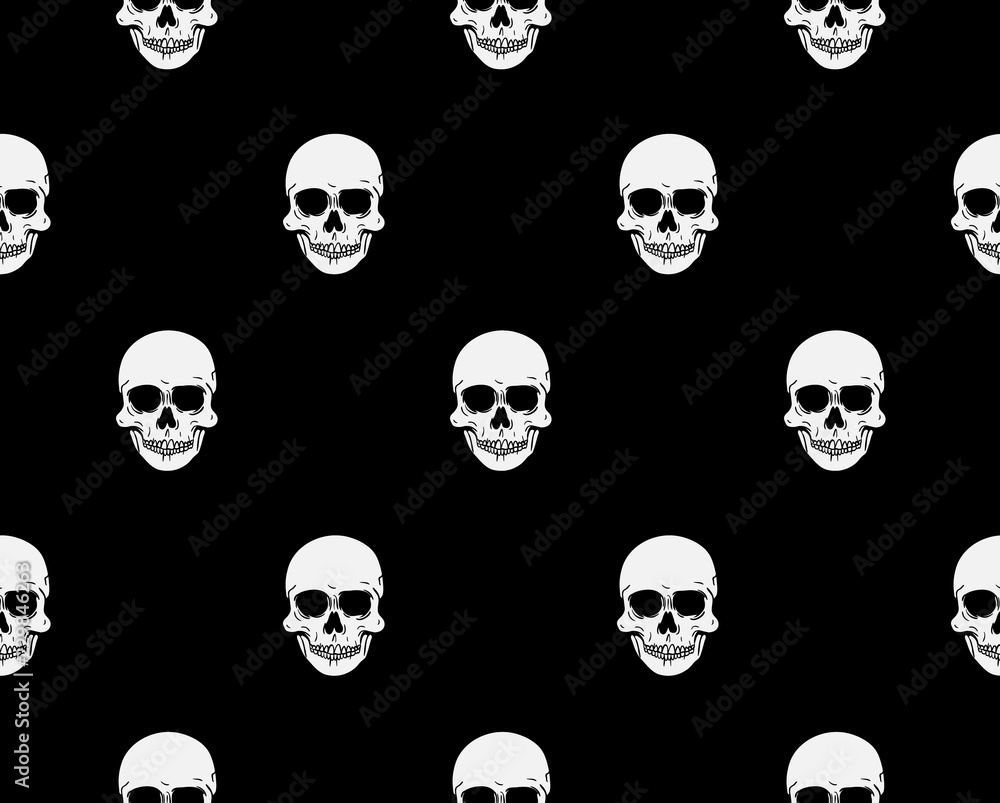 Front view vector illustration of a human skull pattern