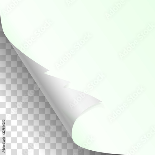 Christmas, new year curled corner of white paper with shadow up close mockup Isolated on transparent Background. Vector illustration spruce