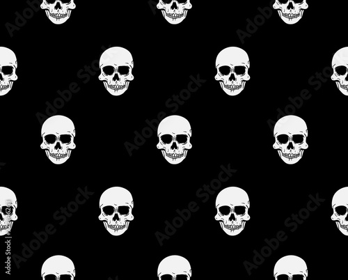 Front view vector illustration of a human skull pattern