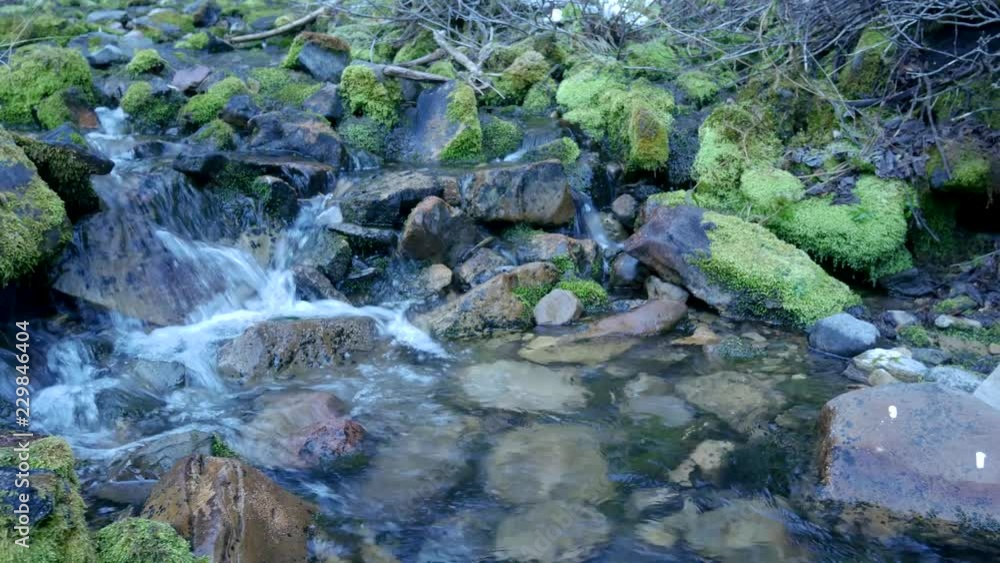 Tranquil mountain brook flowing over mossy rocks on a cold morning Tranquil mountain brook flowing over mossy rocks on a cold morning