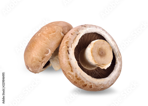 whole fresh champignon mushrooms on white background