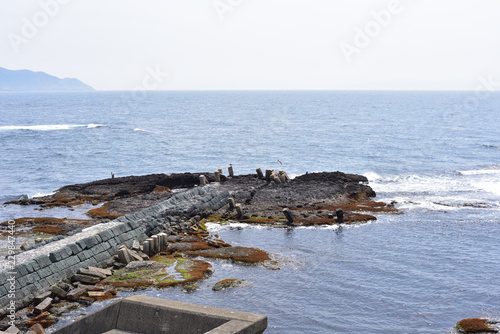 海岸と水平線