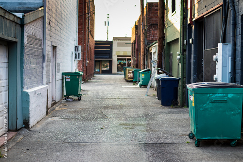 City alley with trash, dumpsters, and garbage cans