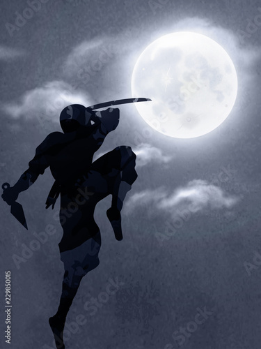 A Japanese Ninja Under The Moonlight 