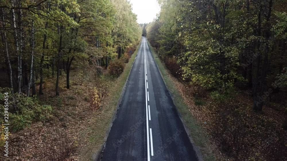 road, traffic, asphalt, autumn, cars, road in the forest, forest, driving a car road, traffic, asphalt, autumn, cars, road in the forest, forest, driving a car