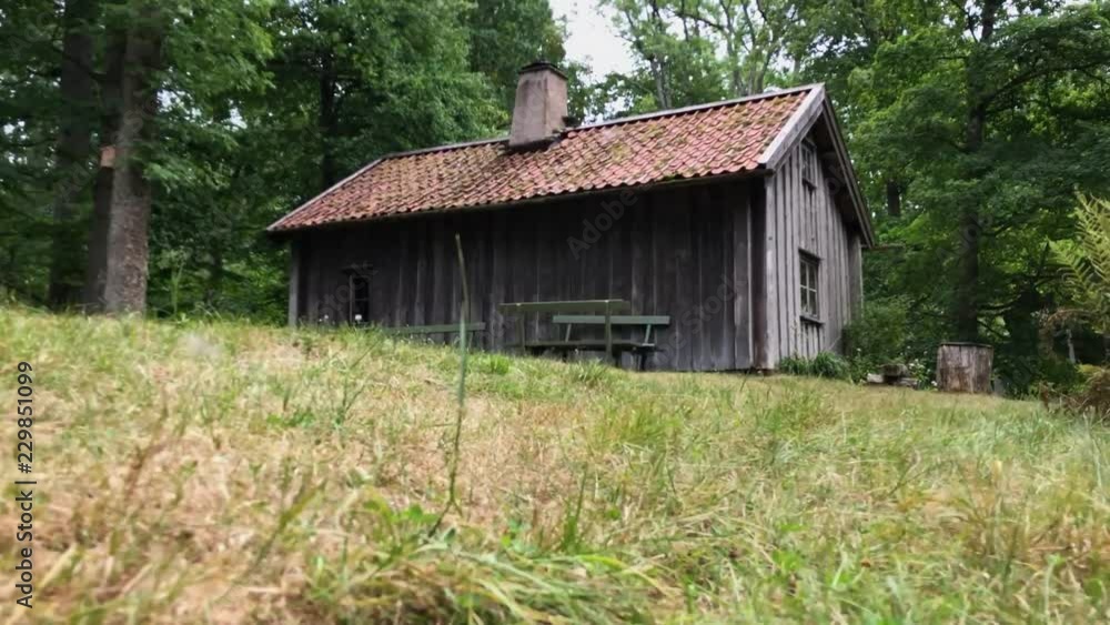 Moving shot of an old wooden house deep within a forrest landscape Moving shot of an old wooden house deep within a forrest landscape
