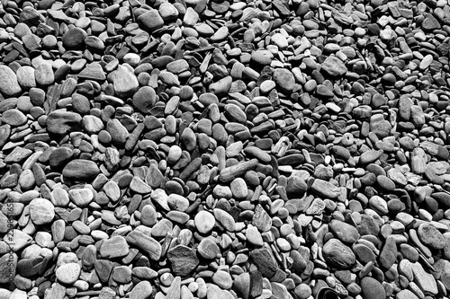 pebble beach - Maine - B&W