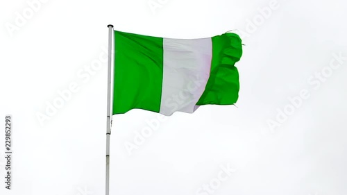 Nigerian Flag fluttering in the wind in slow motion with a white background photo