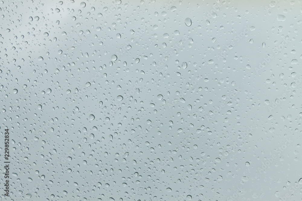 Rain Drops Rain Drops