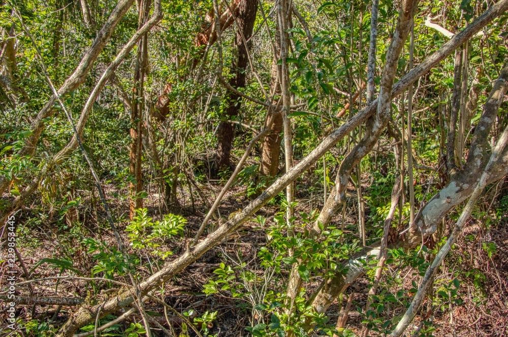 Everglades National Park is located in Southern Florida Everglades National Park is located in Southern Florida