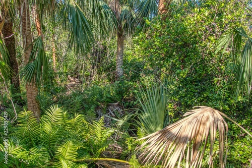 Everglades National Park is located in Southern Florida