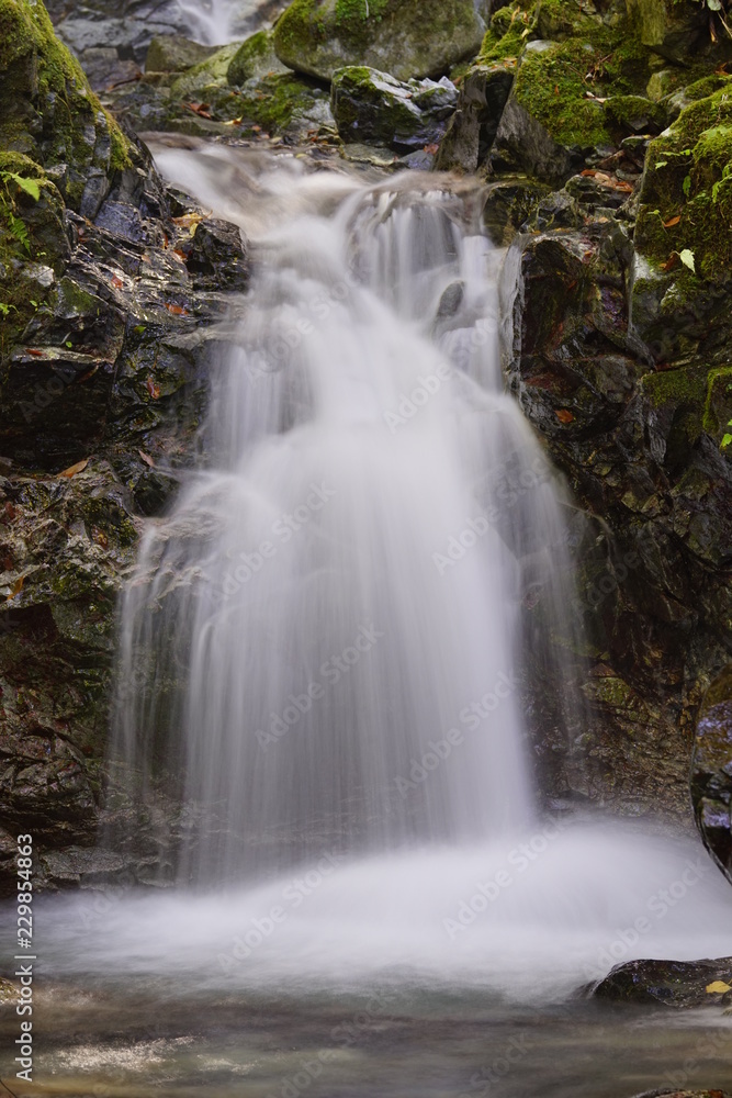 Obraz premium 奈良 御杖村 不動滝