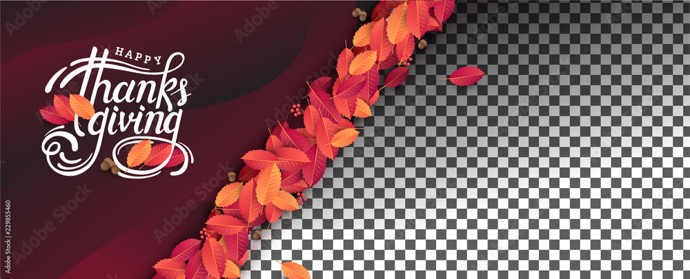 © bokmok - Thanksgiving day banner background. Celebration quotation for card.vector illustration.Autumn season Calligraphy of 'Thanksgiving'.